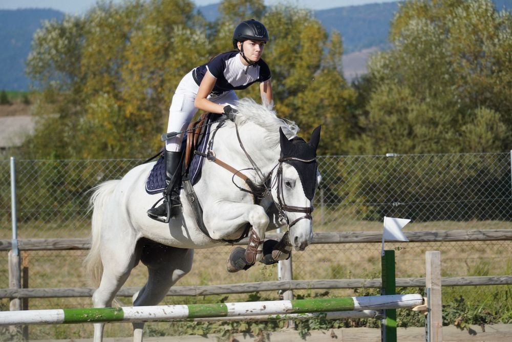 Cal de sport de vanzare!