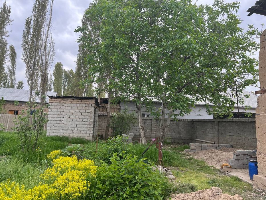 Курук ер сотилади,ер,земля,участка,Янгибазар