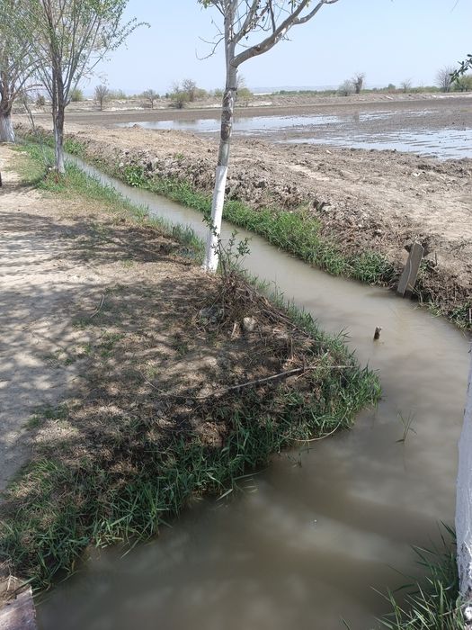 Срочно Навбахор Бешработ йулни екасидан ховли сотилади