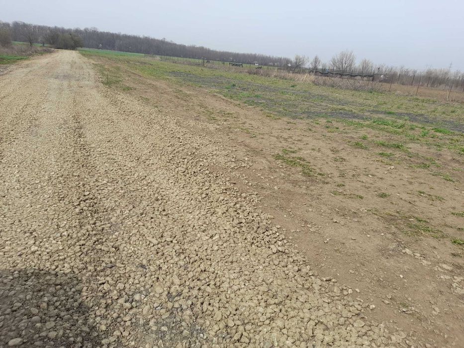 Vand teren  700mp Magurele Pruni, toate actele la zi, proprietar