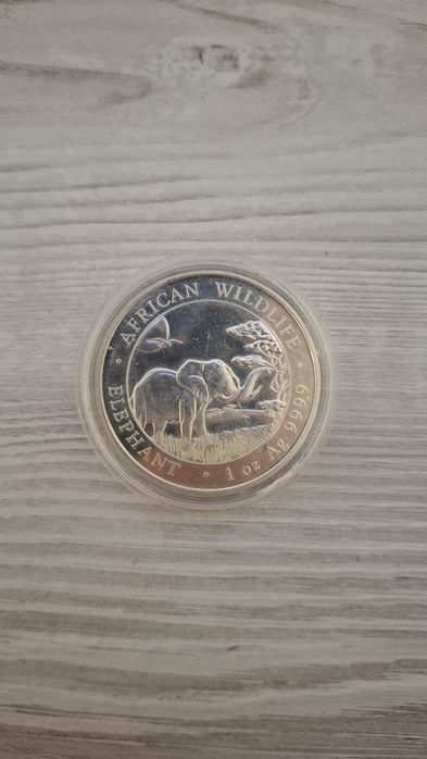 African Wildlife Elephant 2019 – Argint 1 oz