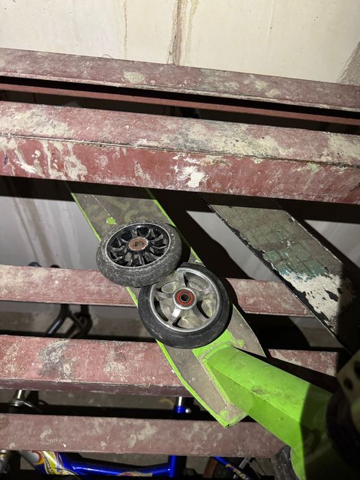 Велик и сомакат.