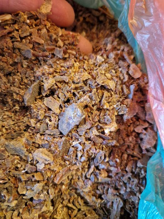 Пчелен клей /Прополис/