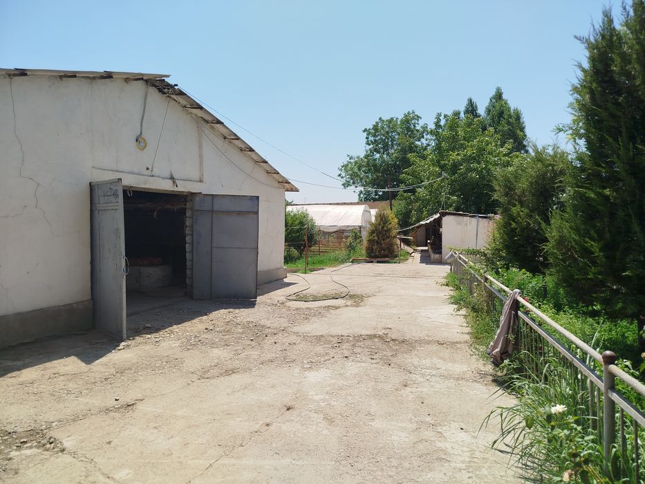 Продам ферму срочно в кибрай жилой дом