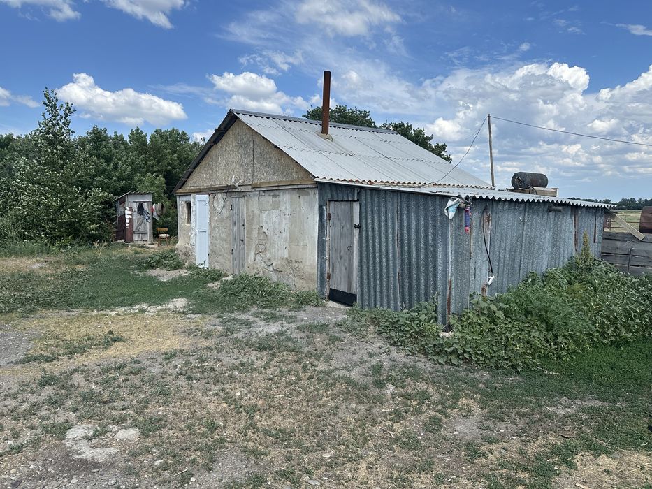Продам личное подсобное хозяйство