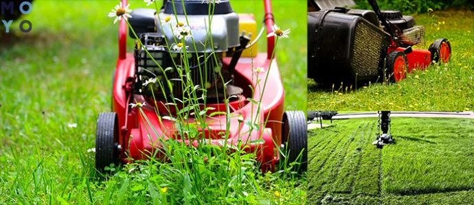 Аренда Газонокосилка Триммер Мотокоса Бензокоса прокат 24.7 доставка