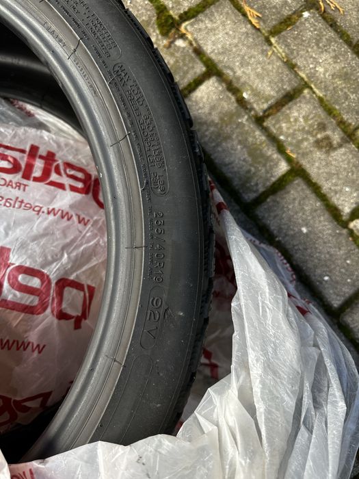 Michelin Pilot Alpin