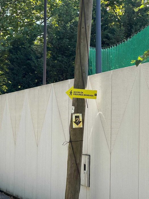 Vând 7500mp pădure langa Iancu Nicolae. Ideală pentru investiție compensare silvică
