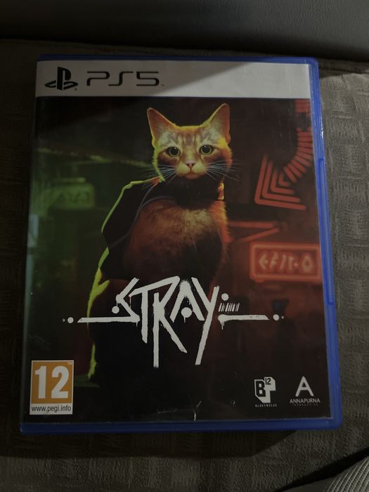Stray с карточками