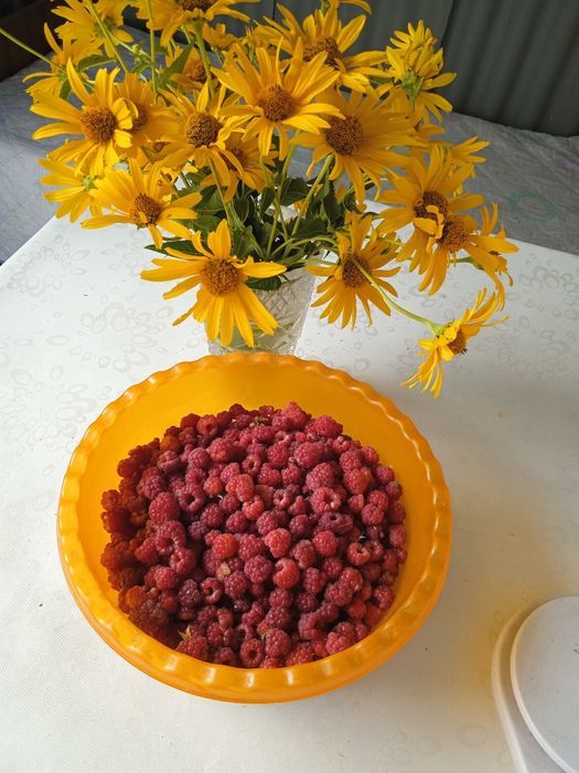 Домашние соленья