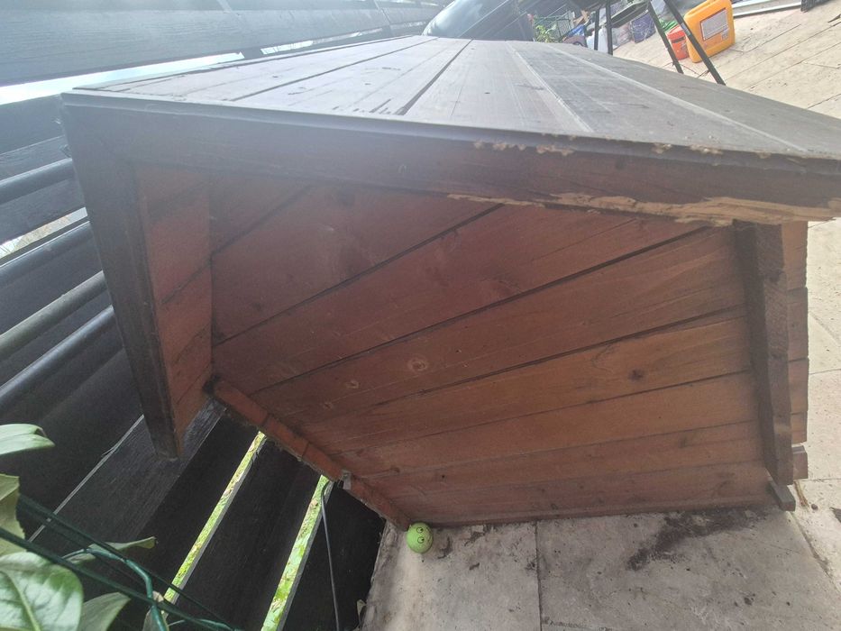 Cusca catei in stare buna