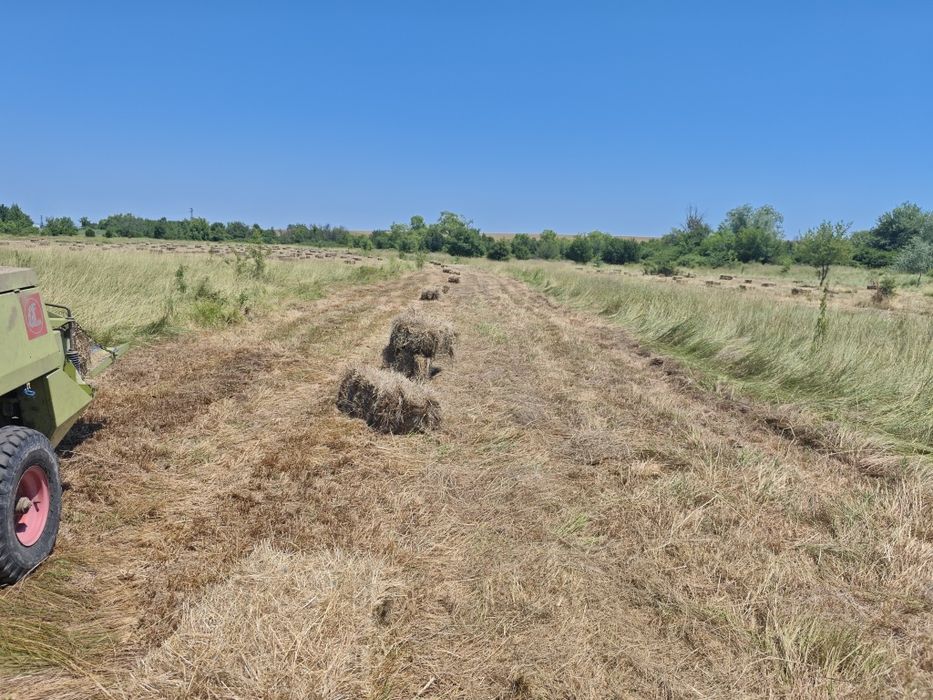 Бали сено и слама
