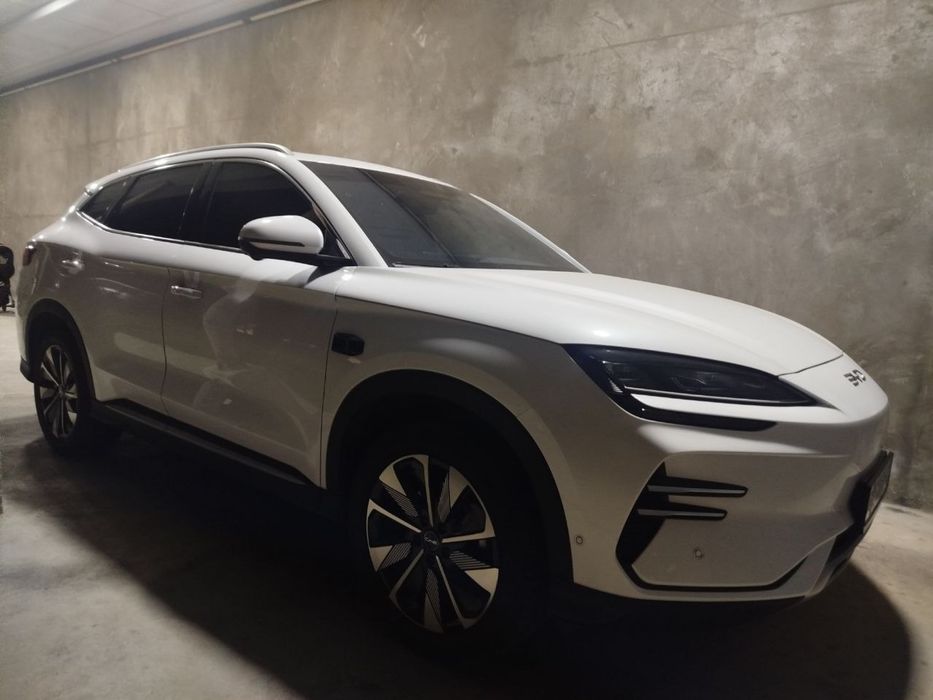 Byd chempion smart