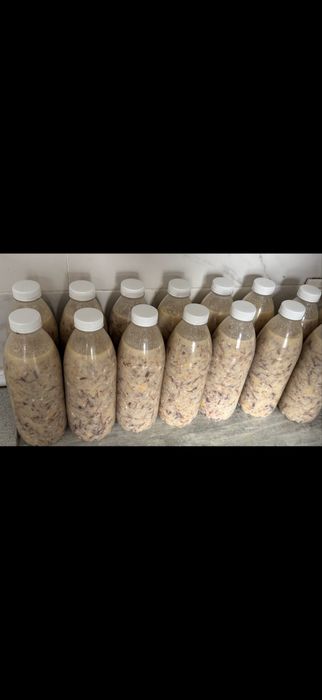 Наурыз коже на заказ