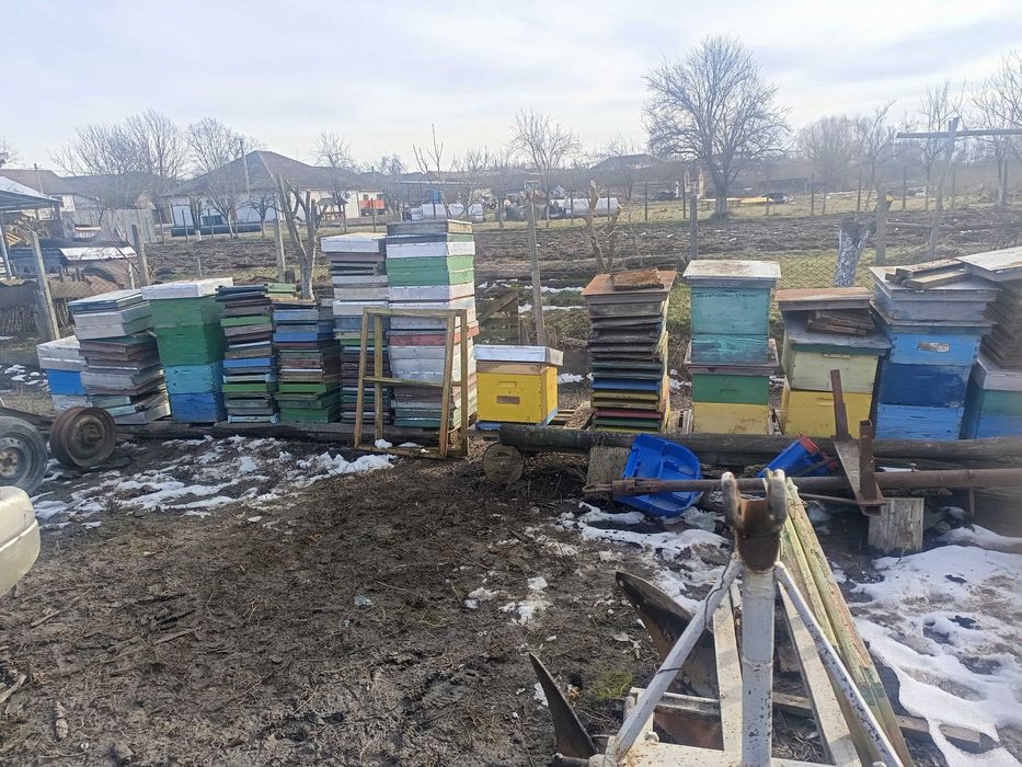 Lazi de stupi folosite