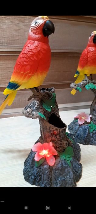 Сувенир попугай говорящий