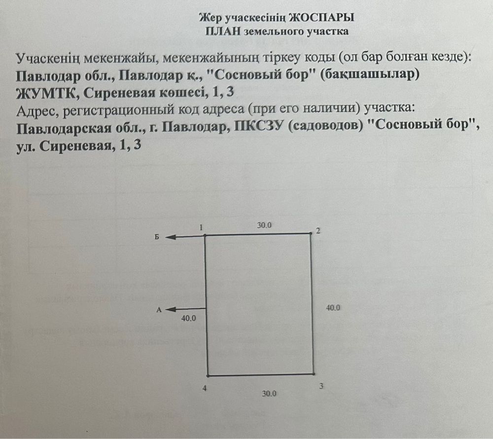 сосновый бор - Недвижимость в Павлодарская область - OLX.kz