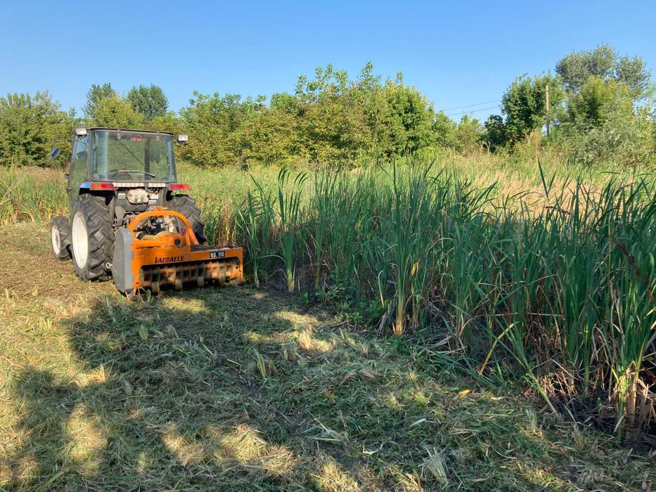Elimina ambrozia ! curatare teren de ambrozie si alta vegetatie