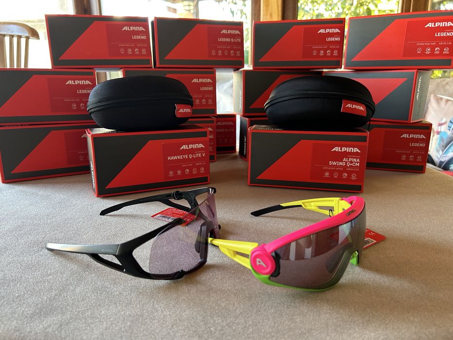 Очила Alpina различни модели