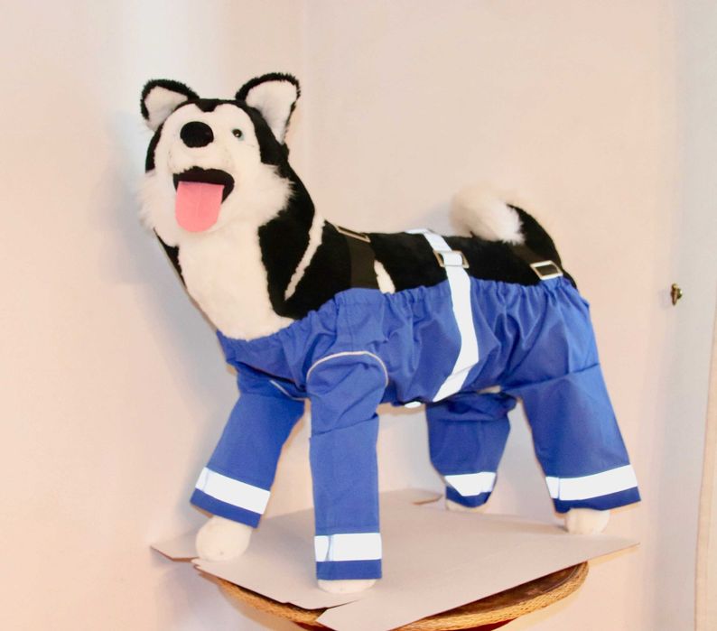 Salopeta Catel impermeabila protectie noroi Masura M si L labrador