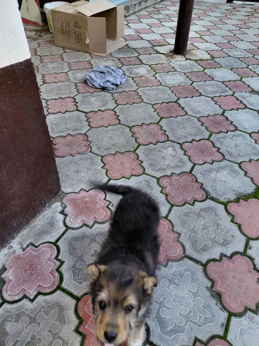 Званок мальчик пальчик