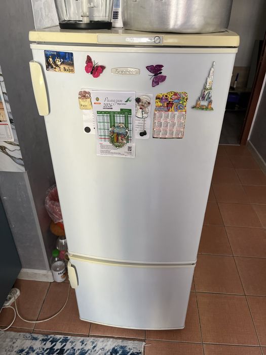 Холодильник бирюса