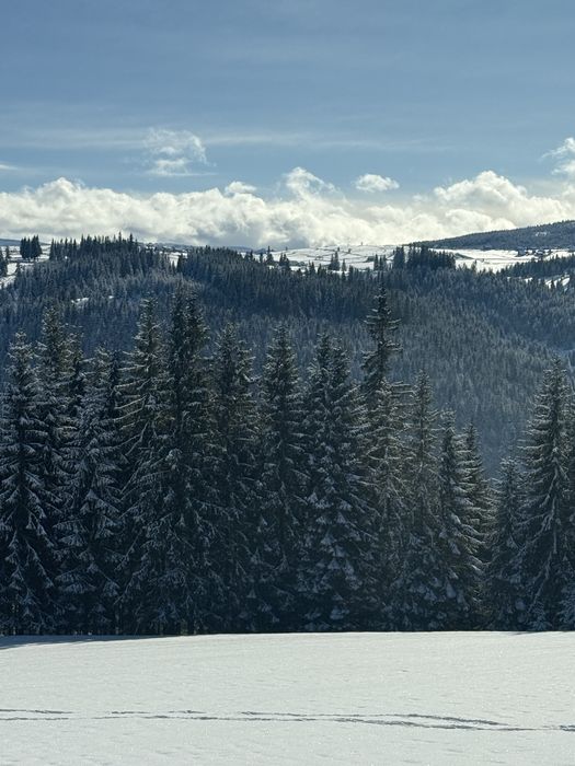 Camere de inchiriat Marisel, aproape de partie