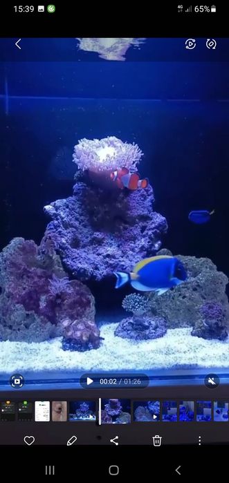 Продаётся морской аквариум 280 л