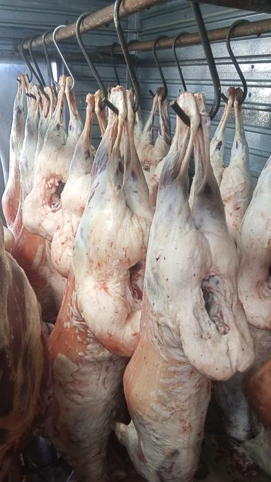 Продам барабанов