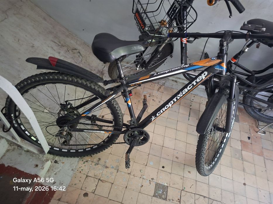 Velosapetsportmaster