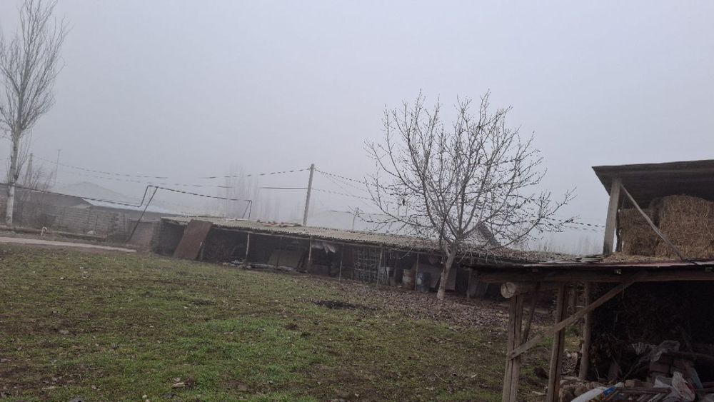 Yer sotiladi 5 sotix