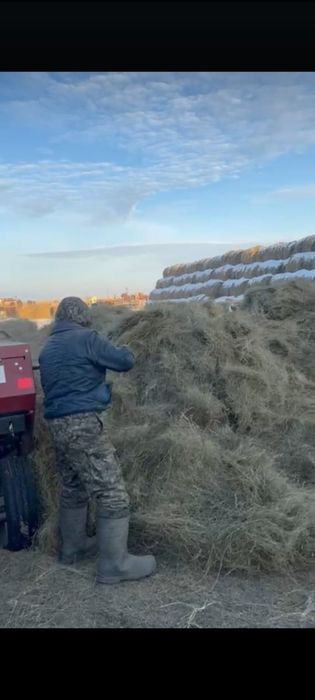 Сено тьюки с доставкой