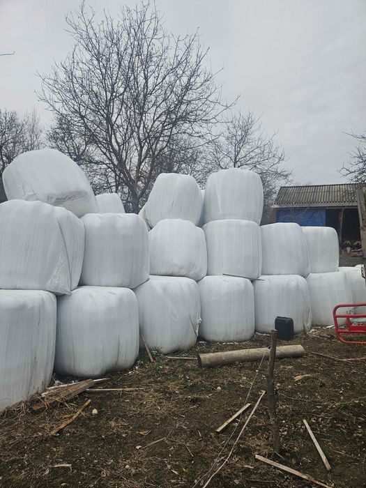 Vând baloți făn infoliat siloz