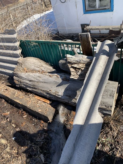 Сруб тополя