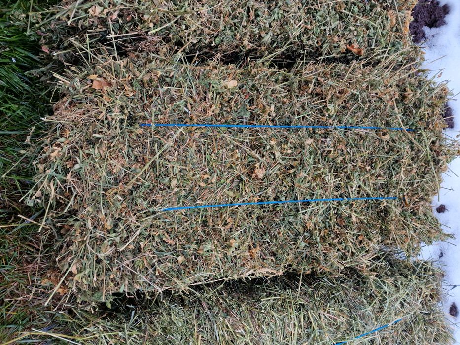 Vând baloți lucernă