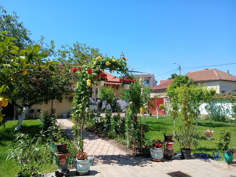 Vind casă zona Intim sau schimb cu casă mai mică