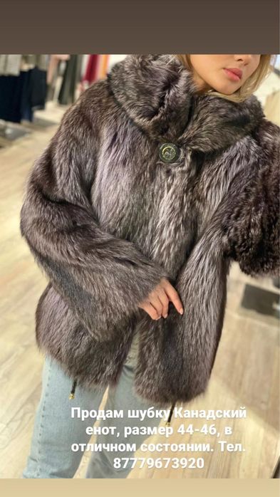 Шуба Канадский енот
