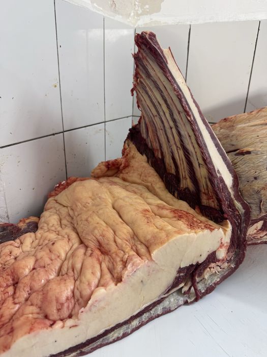Мясо конина аяктап