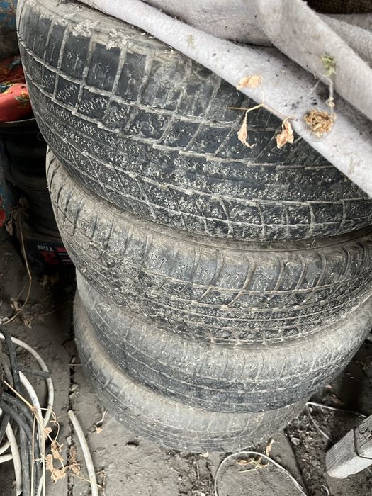 Зимние резины. .