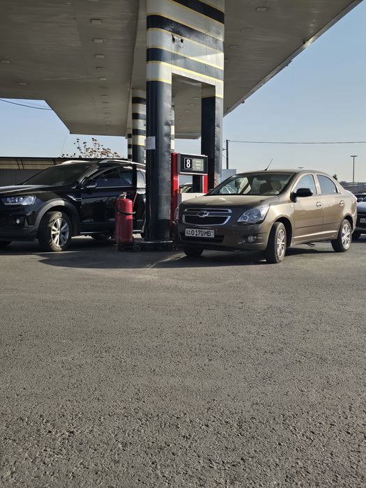Cobalt AT 2023 ZEUS