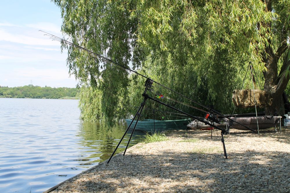 Vand Rod Pod Fox Ranger MK2 + buzz bari extended