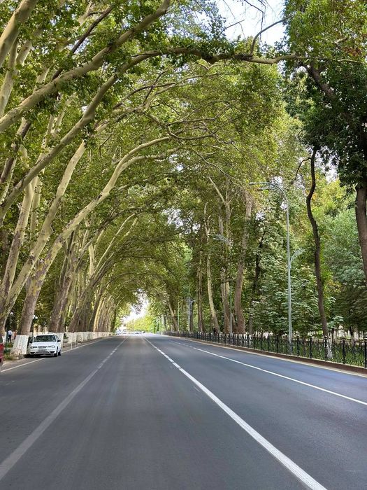 Место встречи - Самарканд. Экскурсии по столице империи Амира Темура