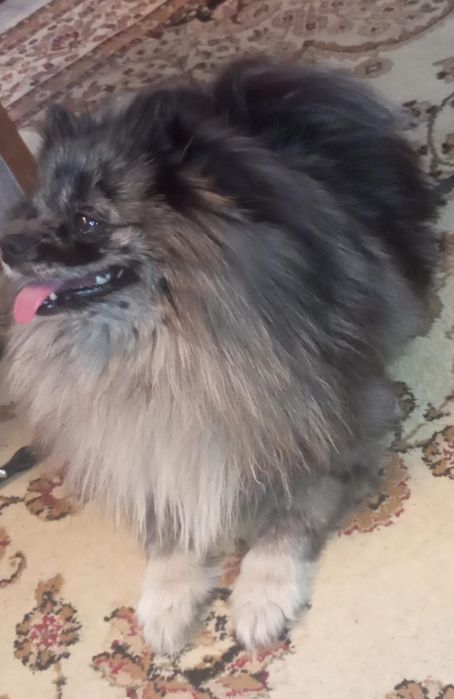 Продам или обмен