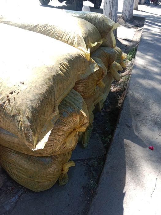 Donli Makka selosi sptiladi