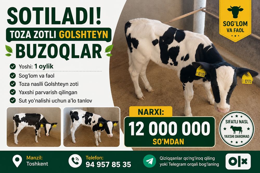 Golshteyn buzoqchala
