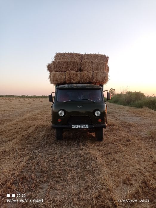 Yili 1981 yoqilgʻi metan balonlari yaxshi holatda