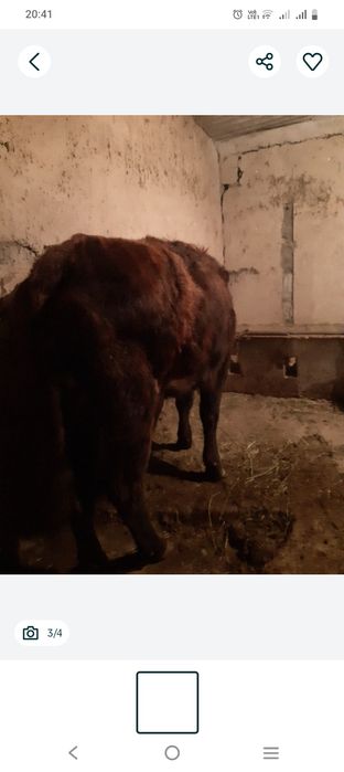 Продается срочно