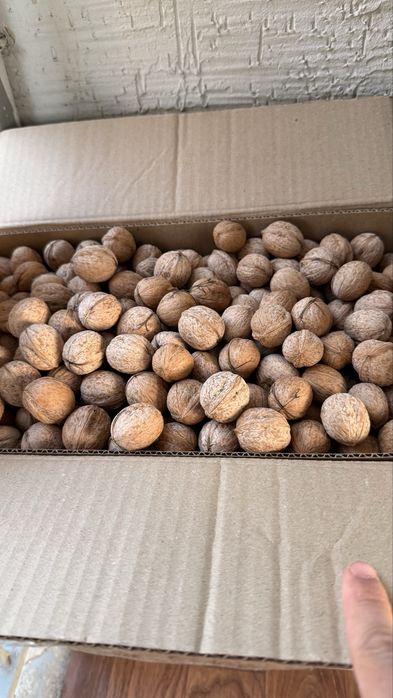 Продам орехи свежие