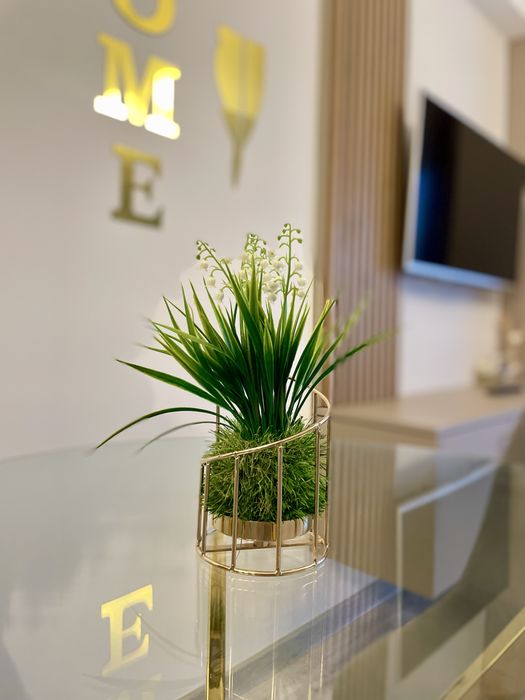 Apartament Regim Hotelier Central NonSTOP