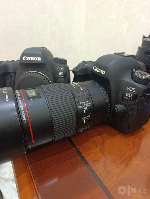 Canon 6D Mark ll+lens Ef 100 mm+ Godox MF R76